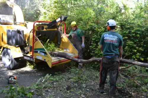 tree services Adrian